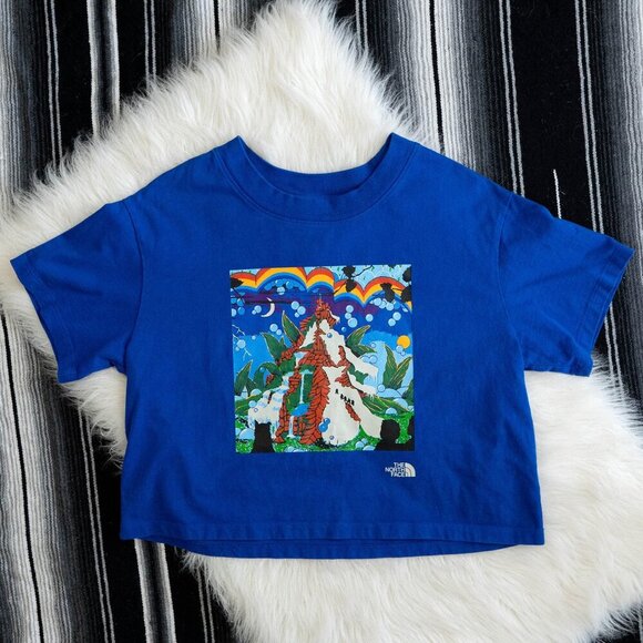 The North Face Women Sz L Blue Graphic Colorblock Boxy Tee Cropped - Picture 1 of 8